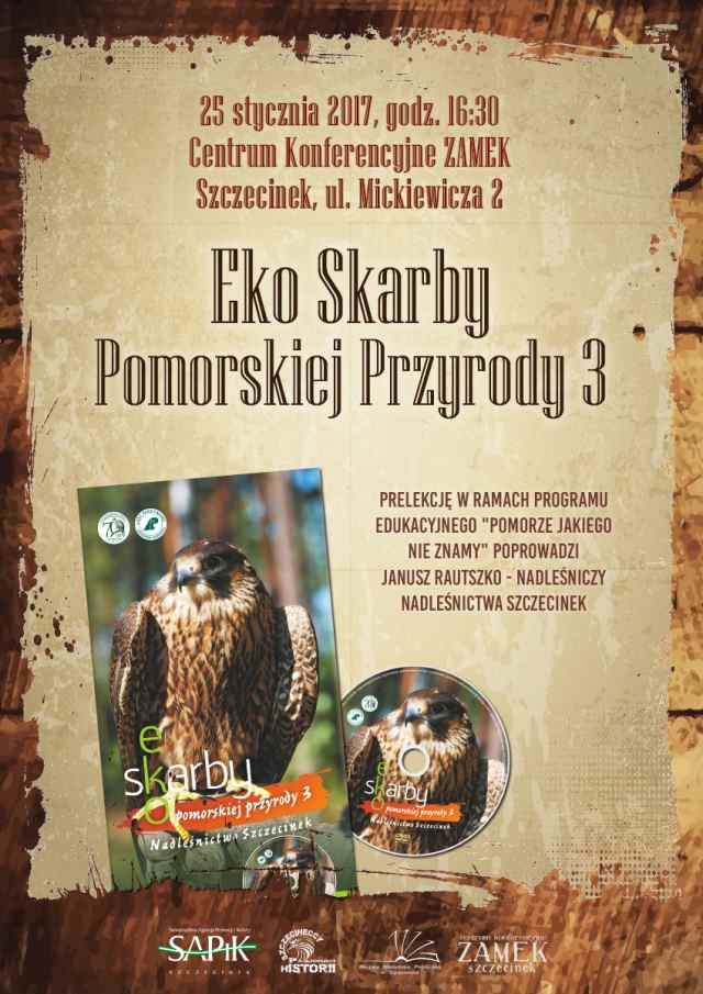 grafika informacyjna