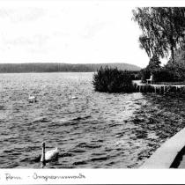 Streitzig-See - jez. Trzesiecko. Rok 1939. Widoczna jest Schwaneninsel - wyspa Łabędzia