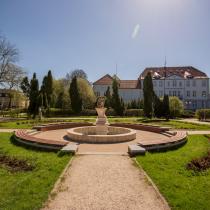 Centralna część parku