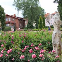 Park miejski