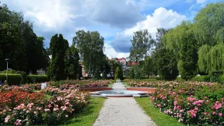 Szczecinek w obiektywie