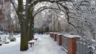 Szczecinek w obiektywie