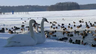 Szczecinek w obiektywie