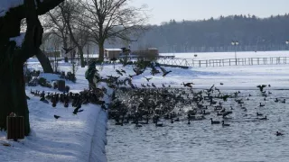 Szczecinek w obiektywie